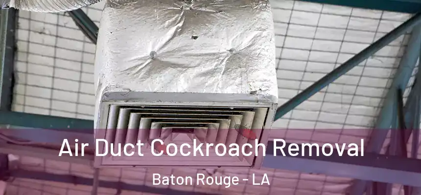  Air Duct Cockroach Removal Baton Rouge - LA