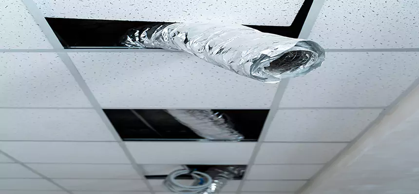 Our Air Duct Pet Hair Removal Services in Baton Rouge, LA