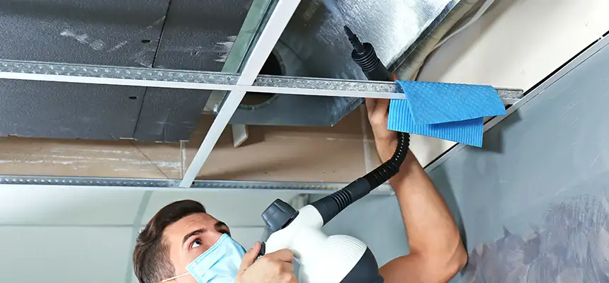Our Air Duct Rodent Removal Services in Baton Rouge, LA