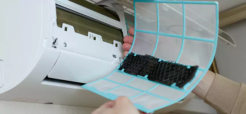 Gentle Ductwork Odor-Control Pet Dander Duct Cleaning in Baton Rouge, LA