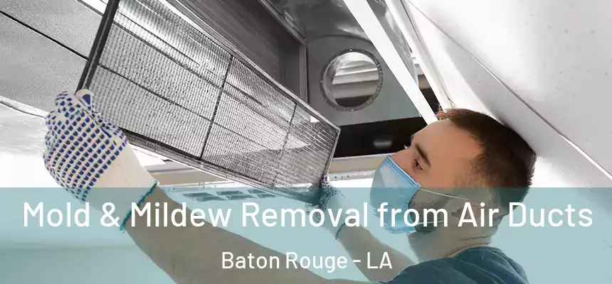 Mold & Mildew Removal from Air Ducts Baton Rouge - LA