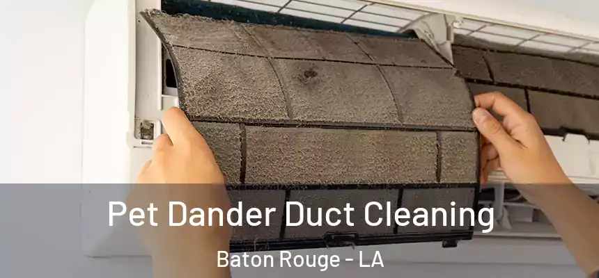Pet Dander Duct Cleaning Baton Rouge - LA
