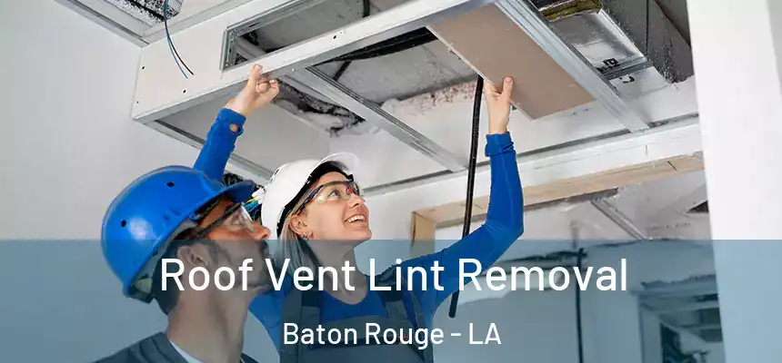 Roof Vent Lint Removal Baton Rouge - LA
