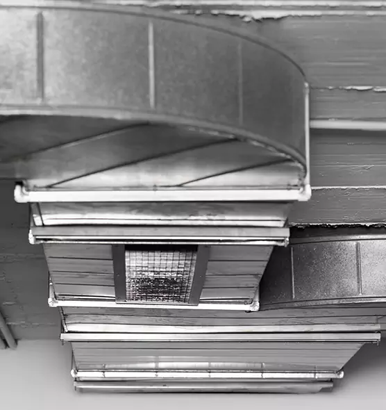 Professional Air Duct Pest Removal in Baton Rouge, LA