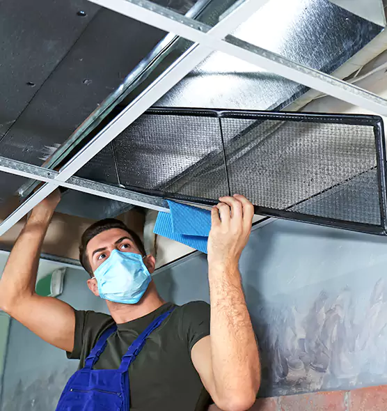 Professional Air Duct Pollen Cleaning in Baton Rouge, LA