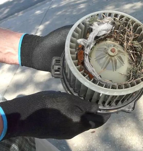 About Air Duct Rat Removal in Baton Rouge, LA