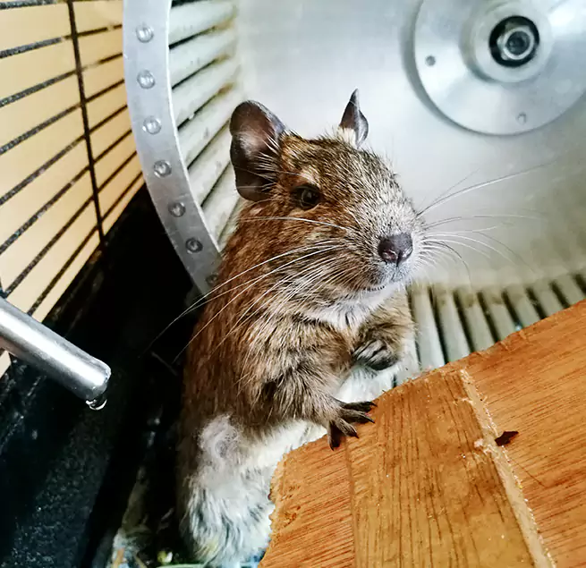 Why Homeowners & Businesses Trust Us Baton Rouge, LA