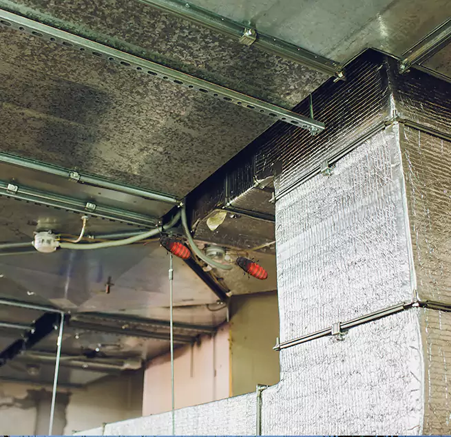 Why Homeowners & Businesses Trust Us Baton Rouge, LA?