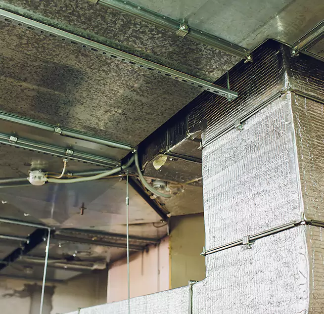 Why Homeowners & Businesses Trust Us in Baton Rouge, LA?